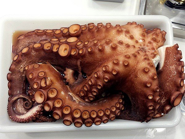pulpo.jpg