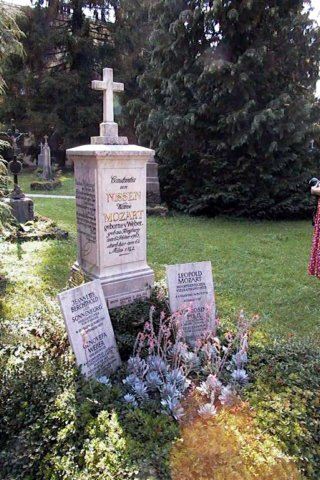 tumbademozart.jpg