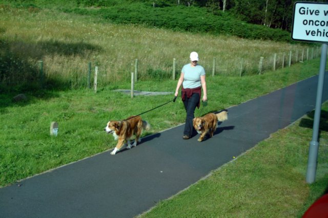 glenainnanpaseandolosperros.jpg