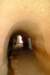 trogloditaspasillo2_small.jpg
