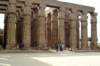 templodeluxorcolumnasdeamenhotepiiihijoderamsesii_small.jpg
