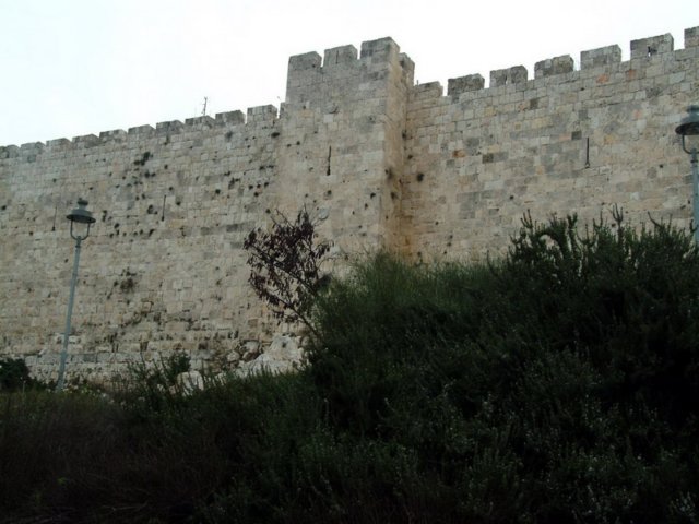 murodejerusalen.jpg