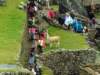machupichullamasentreturistas_small.jpg