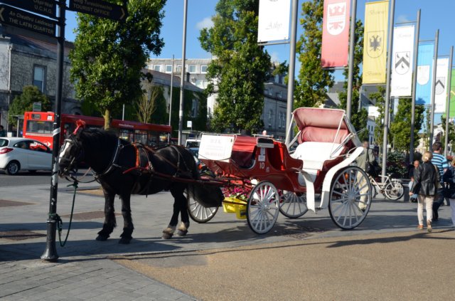 galwaycochedecaballoseneyresquare.jpg