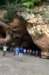 gruta_small.jpg