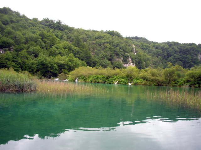 lagokaluderovac.jpg